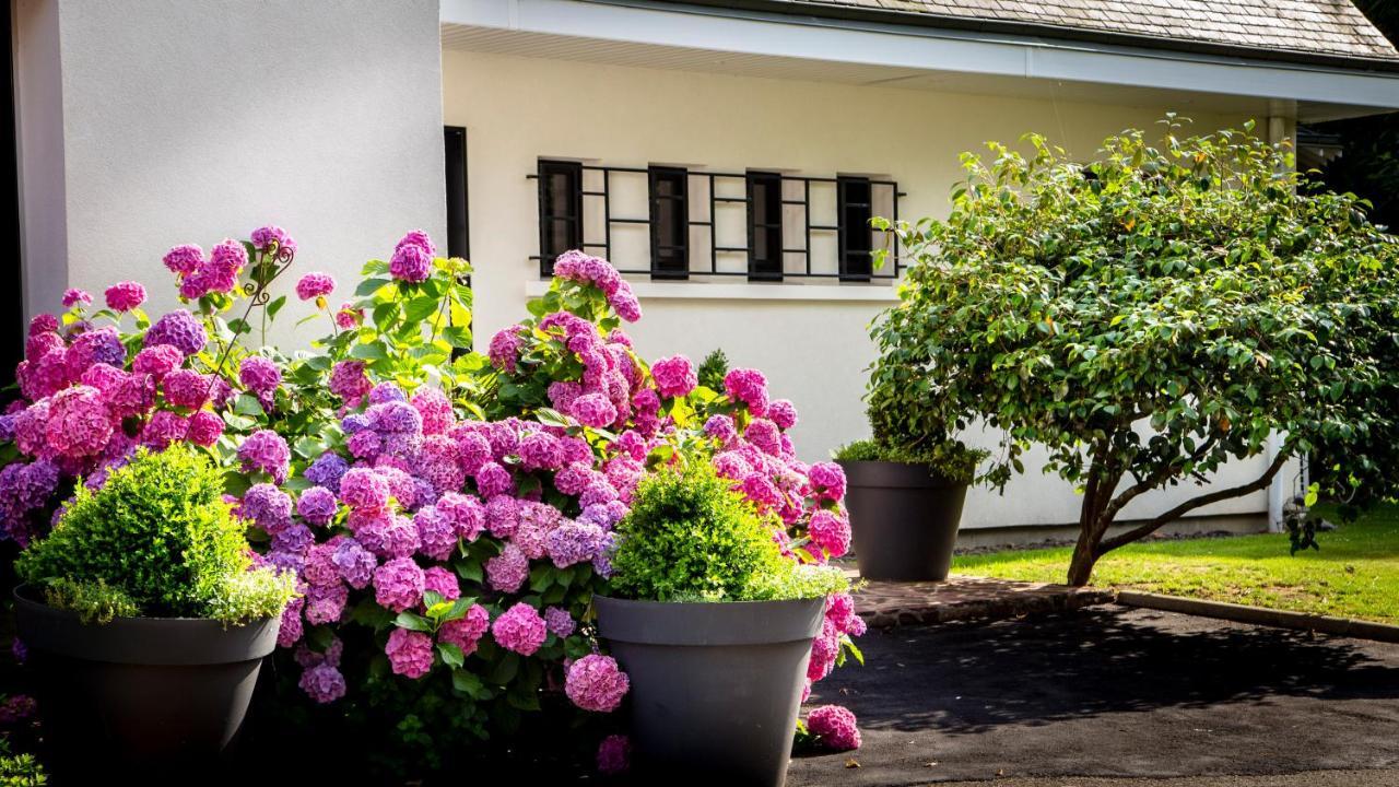 Le Champ Du Renne Bed and Breakfast Λε Μανς Εξωτερικό φωτογραφία